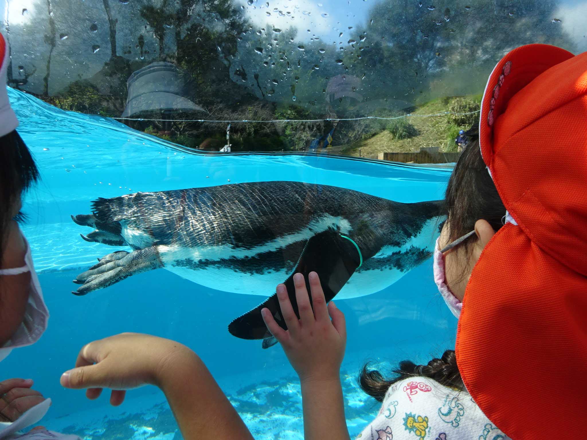 園外保育！【年中】 かなやま幼稚園｜埼玉県坂戸市の幼稚園